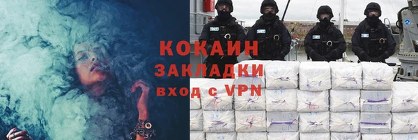 ГАЛЛЮЦИНОГЕННЫЕ ГРИБЫ Аркадак