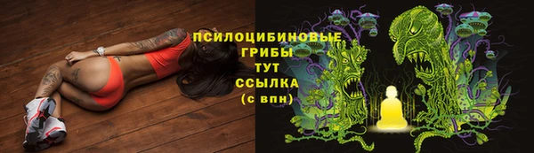 ГАЛЛЮЦИНОГЕННЫЕ ГРИБЫ Аркадак