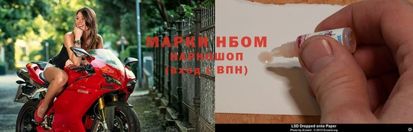 молекула духа Арсеньев