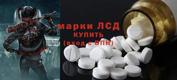 ГАЛЛЮЦИНОГЕННЫЕ ГРИБЫ Аркадак
