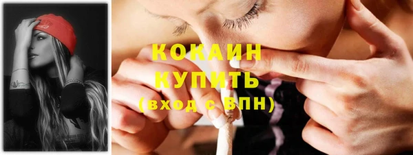 ГАЛЛЮЦИНОГЕННЫЕ ГРИБЫ Аркадак