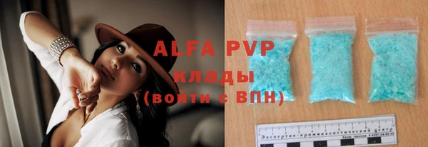 молекула духа Арсеньев