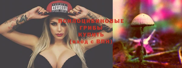 ГАЛЛЮЦИНОГЕННЫЕ ГРИБЫ Аркадак