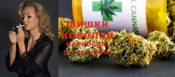 молекула духа Арсеньев
