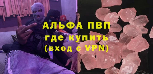 молекула духа Арсеньев