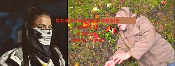 ГАЛЛЮЦИНОГЕННЫЕ ГРИБЫ Аркадак