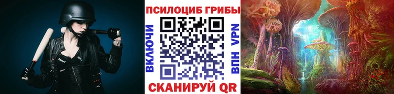 Галлюциногенные грибы GOLDEN TEACHER  Болотное 