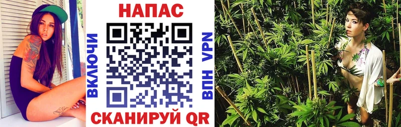 магазин    Болотное  Бошки Шишки планчик 